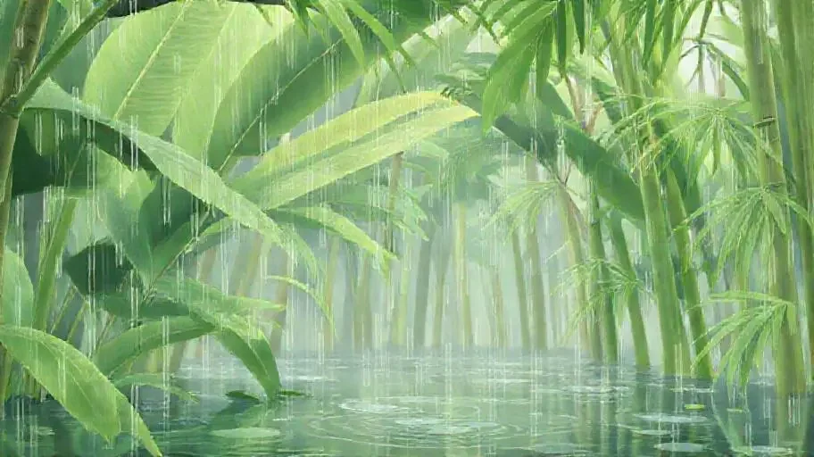 雨打芭蕉 - 美女直播秀竹影清风影像