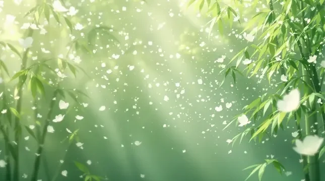 竹海晨雾 - 美女直播秀竹影清风影像